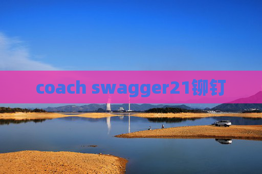 coach swagger21铆钉